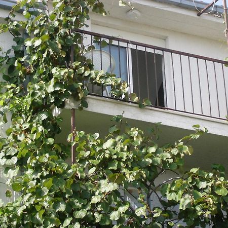 Apartments Prizmic โปดสตรานา ภายนอก รูปภาพ
