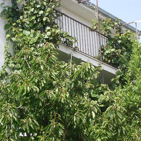 Apartments Prizmic โปดสตรานา ภายนอก รูปภาพ